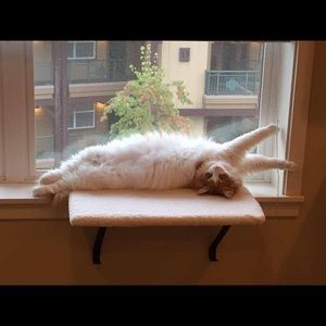 Meet your Posher, Wendy